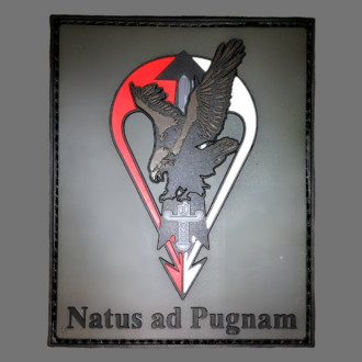 3DRubber Patch:"Natus ad Pugnam"